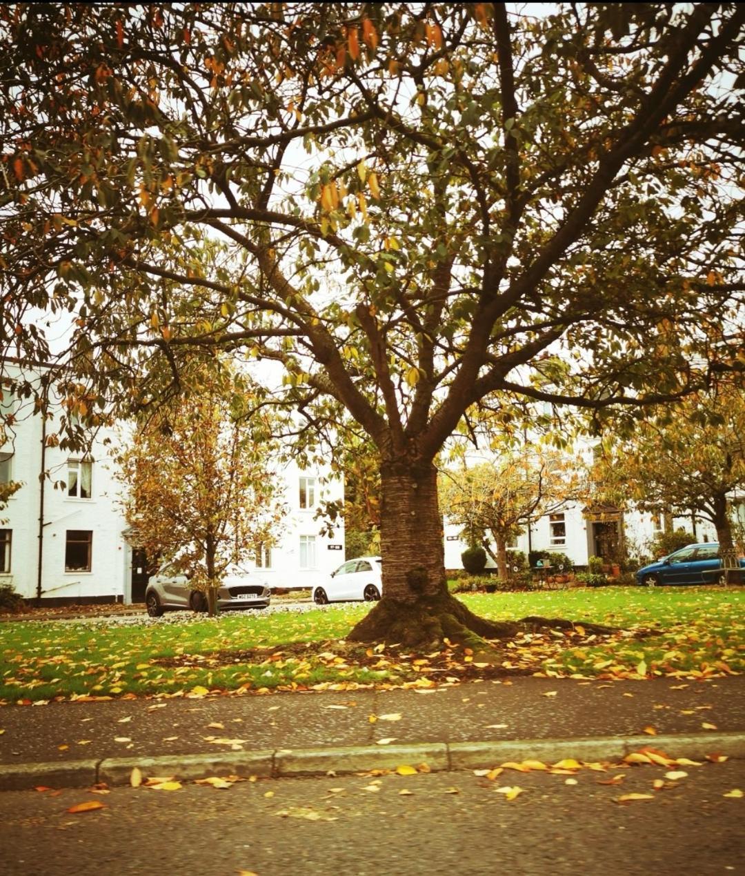 Entire 1 Bed Spacious Apartment, Private Balcony & Study Room Near City Whitehouse  Exterior foto
